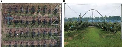Research on orchard navigation method based on fusion of 3D SLAM and point cloud positioning